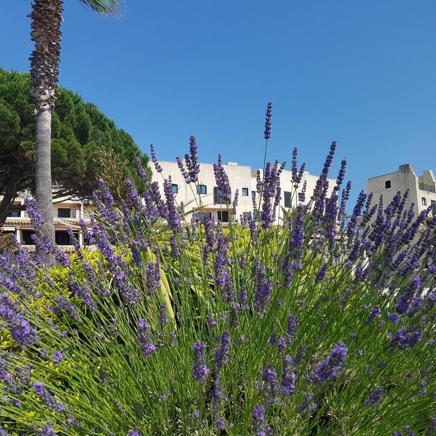 Magnifique 2 Pieces Vue Port Et Mer Cogolin Exterior foto